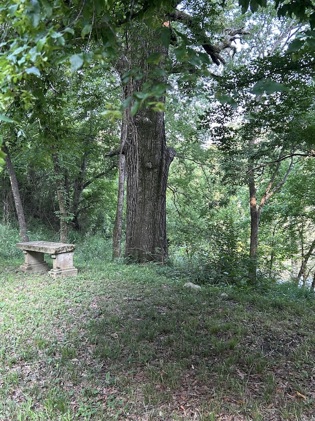 photo2