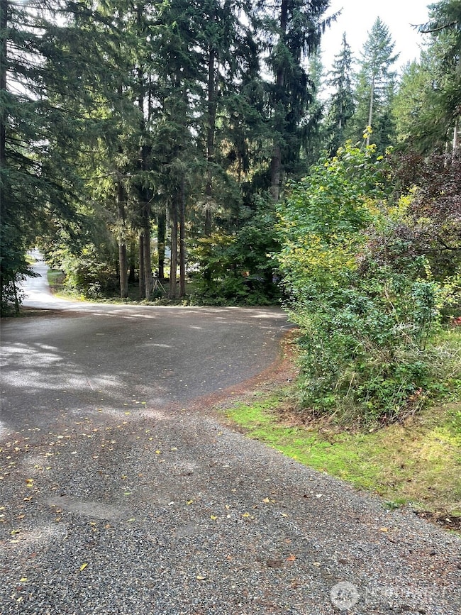 21648 N Terra Ln SE, Yelm, WA 98597 - photo 5