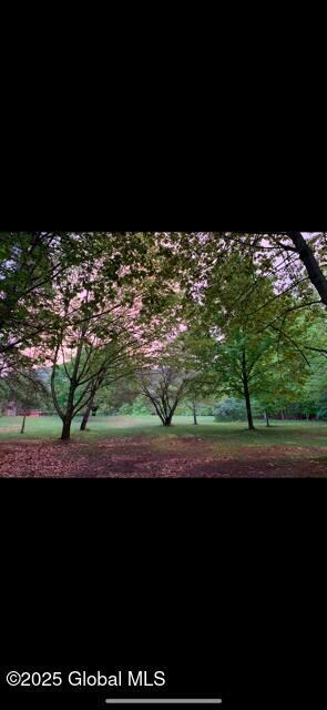 1274 Pilot Knob Rd, Kattskill Bay, NY 12844 - photo 7