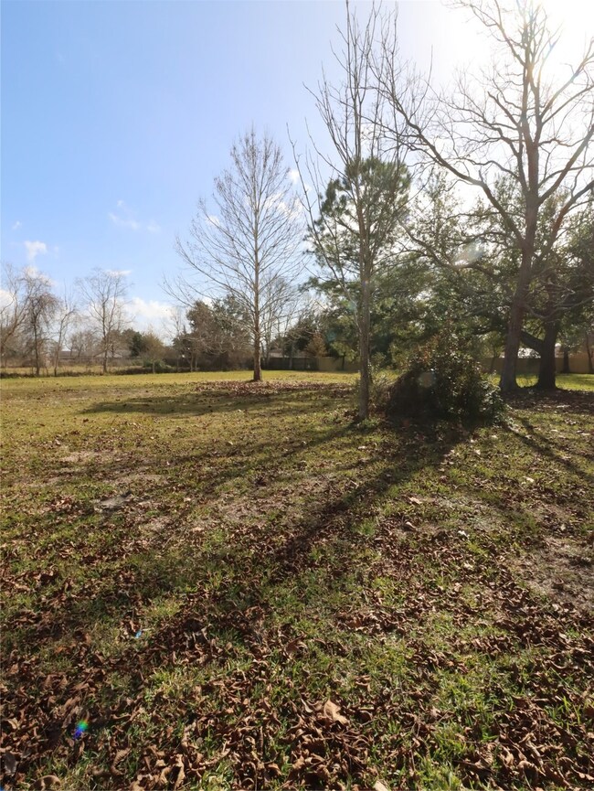 3810 Fig Orchard Rd, Highlands, TX 77562 - photo 6