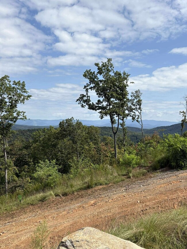 437 Skyline View Dr, Murphy, NC 28906 - photo 5