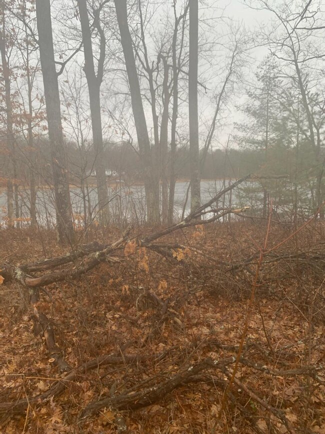 4 Lots Tbd Ave, Idlewild, MI 49642 - photo 4