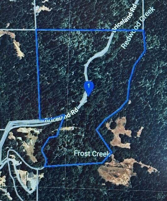 5200 Briceland Rd, Redway, CA 95560 - photo 3