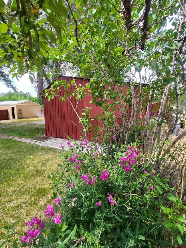 885 Main St, Nucla, CO 81424 - photo 7