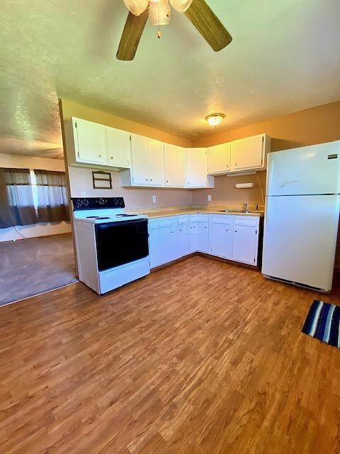 484 Toledo Ave, Marion, OH 43302 - photo 4