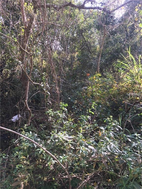 View of the west side of the subject property