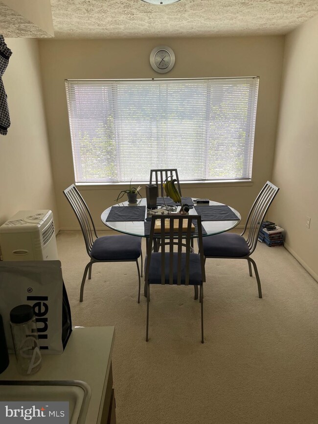 442 Girard St unit 202, Gaithersburg, MD 20877 - photo 3