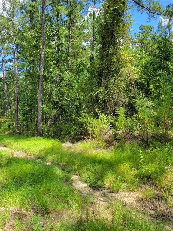 123 Winn Clay Dr, Waycross, GA 31503 - photo 2