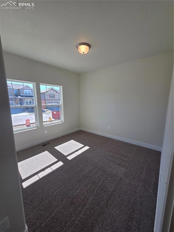 6030 Miller Run Place, Colorado Springs, CO 80924 - photo 4