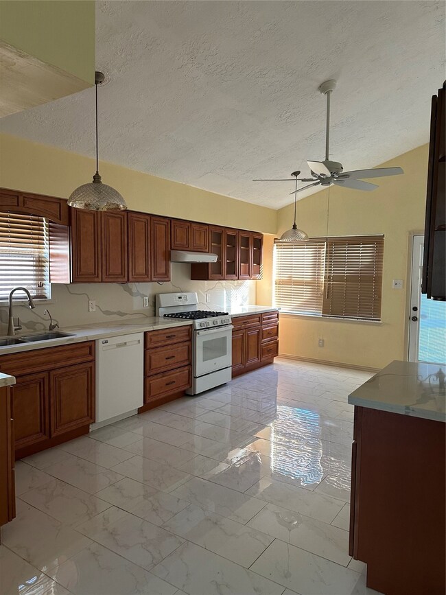 6707 Desert Rose Ln, Houston, TX 77086 - photo 5