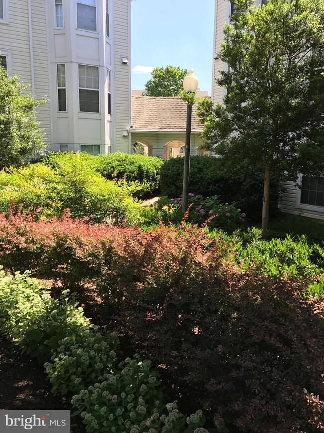 5960 Millrace Ct unit B201, Columbia, MD 21045 - photo 2