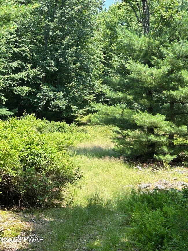 0 Weber Rd, Milford, PA 18337 - photo 3