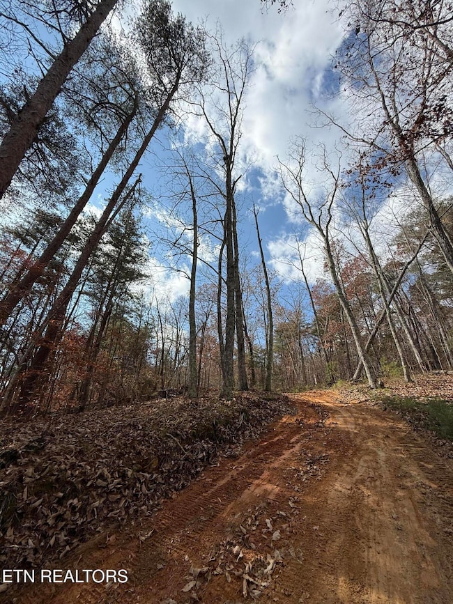 Lot 1 Parksville Rd, Benton, TN 37307 - photo 4