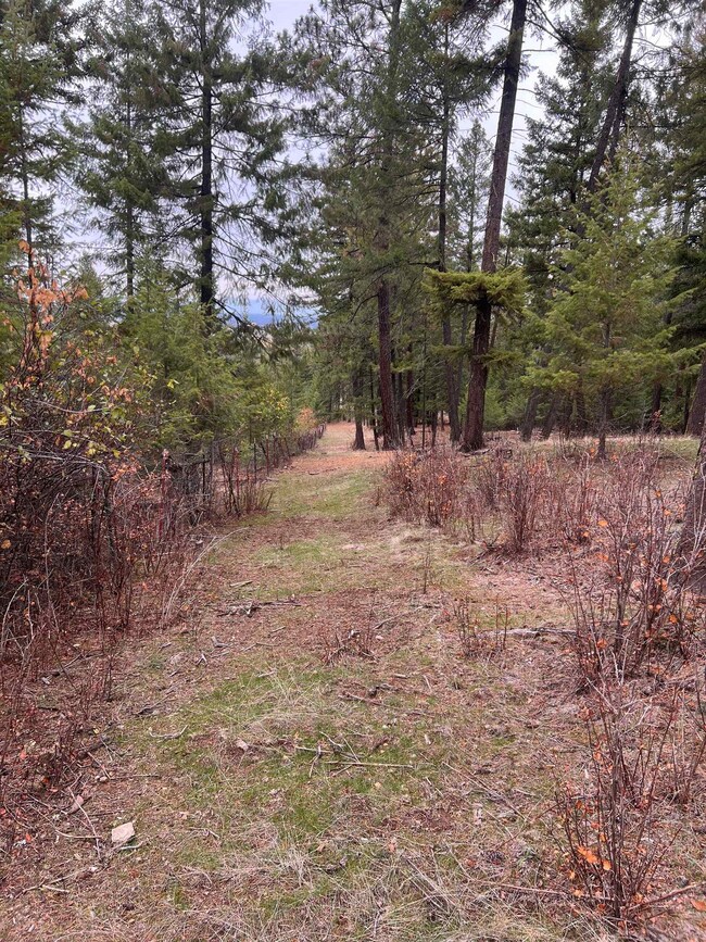 xxxx W Brant Rd, Colbert, WA 99005 - photo 7