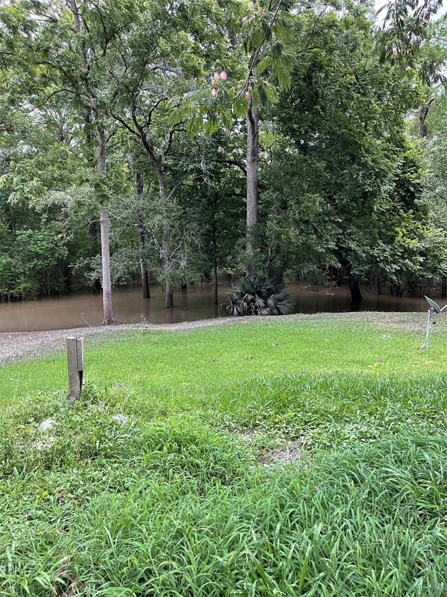 39 County Road 427 S, Dayton, TX 77535 - photo 4