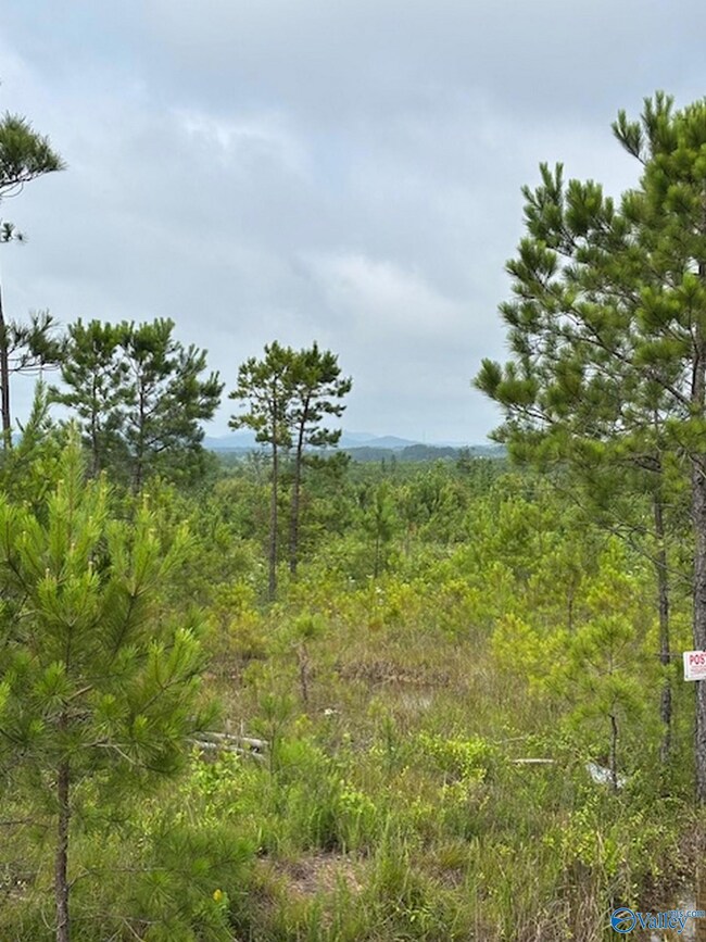 Tract 2 Tom Cat Rd, Gadsden, AL 35903 - photo 6