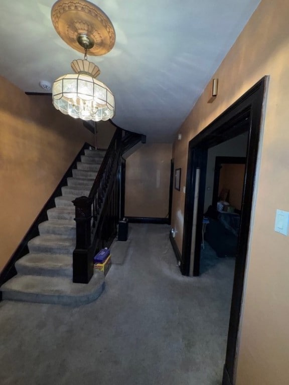 5446 Rosetta St, Pittsburgh, PA 15206 - photo 5