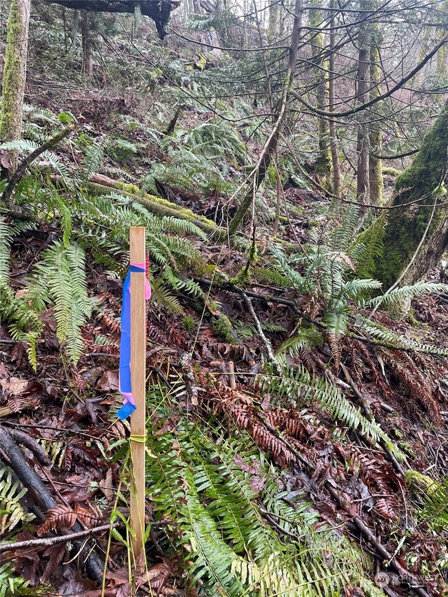 0 Brays Way unit NWM2029894, Bellingham, WA 98226 - photo 4