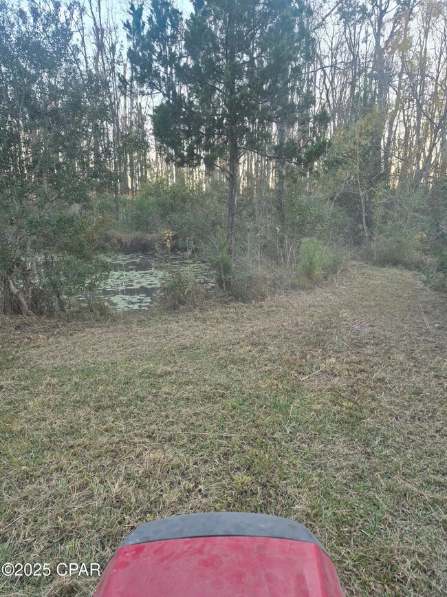 000 Windy Lewis Rd, Bonifay, FL 32425 - photo 4