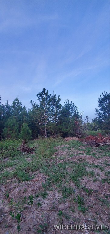 725 Dock Wilson Rd, Samson, AL 36477 - photo 5