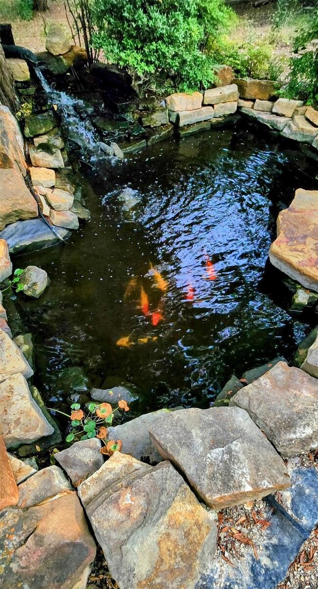 Koi Pond