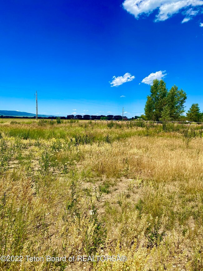 North West view