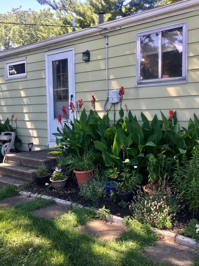 Back of house
