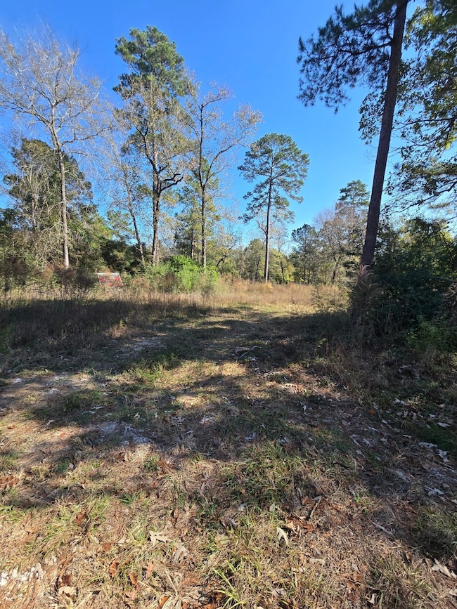 10287 Wanda Ln, Montgomery, TX 77316 - photo 3