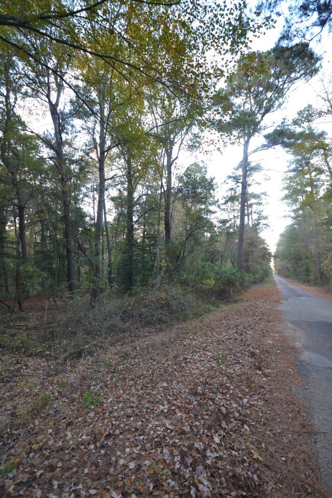 00, Buckner, AR 71827 - photo 5