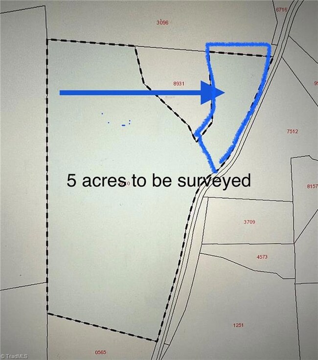 00 Coggins Mine Rd, Troy, NC 27371 - photo 3