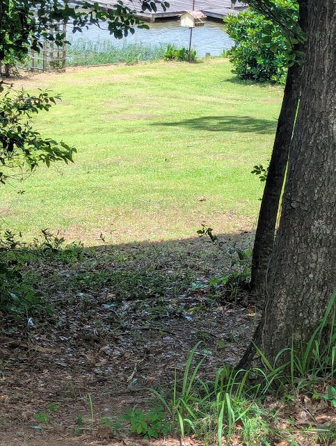 0 Frances Ln, Fulton, MS 38843 - photo 3