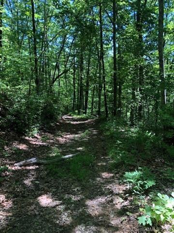 Head down easement/logging road from lot 4A to get to lot 4B on the right
