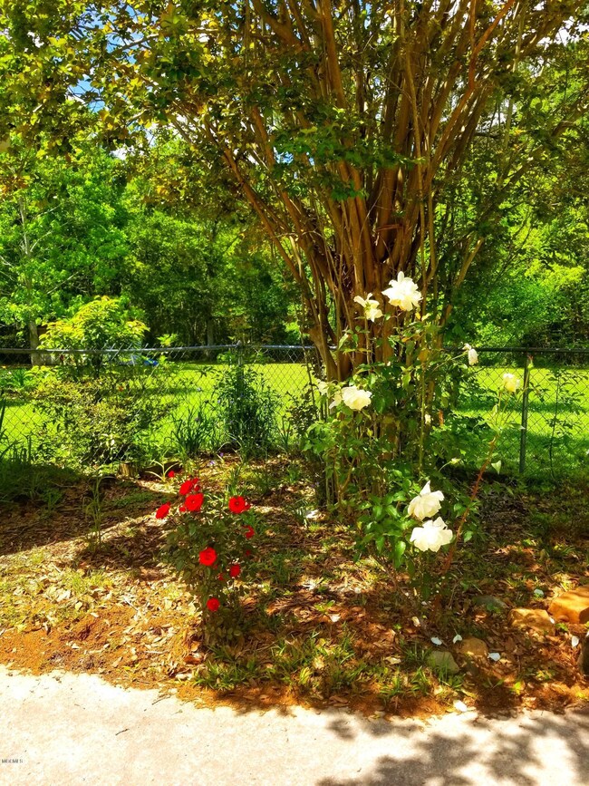 side flower bed