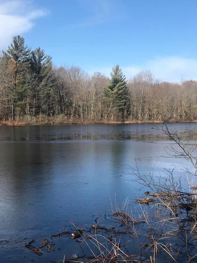 blood lake shore