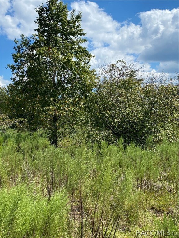 Build your dream home here. Close to shopping, restaraunts, Florida Springs, huting and fishing