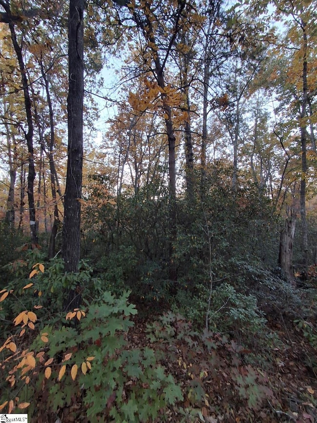 0 Eastview Dr, Pickens, SC 29671 - photo 4