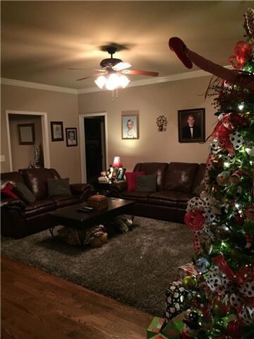 ~Another view of the family room ~