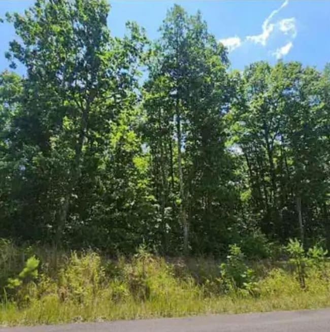 Lot 41 Wohalie Ln, South Pittsburg, TN 37380 - photo 3