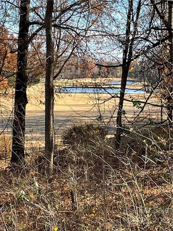 301 Bing Crosby Blvd unit 30, Bermuda Run, NC 27006 - photo 3