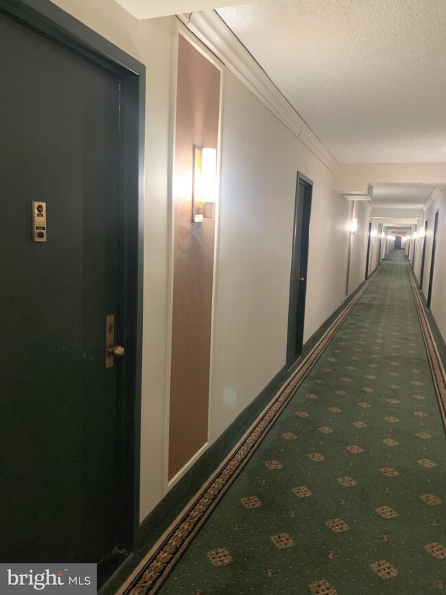 Skyline Plaza unit 1216N, Baileys Crossroads, VA 22041 - photo 4