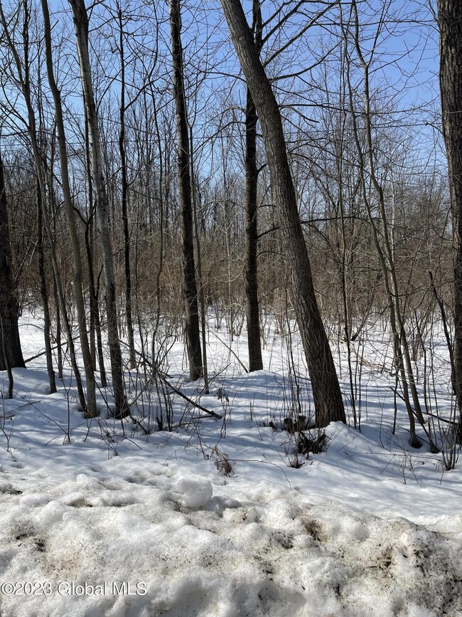 00 Armer Rd, Galway, NY 12020 - photo 3