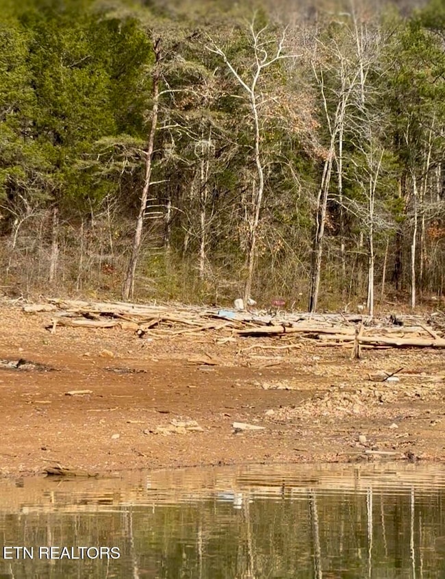 0 Bridle Way unit 1323079, Speedwell, TN 37870 - photo 4