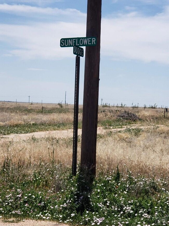 none Dodge Rd unit 6, Hasty, CO 81044 - photo 2