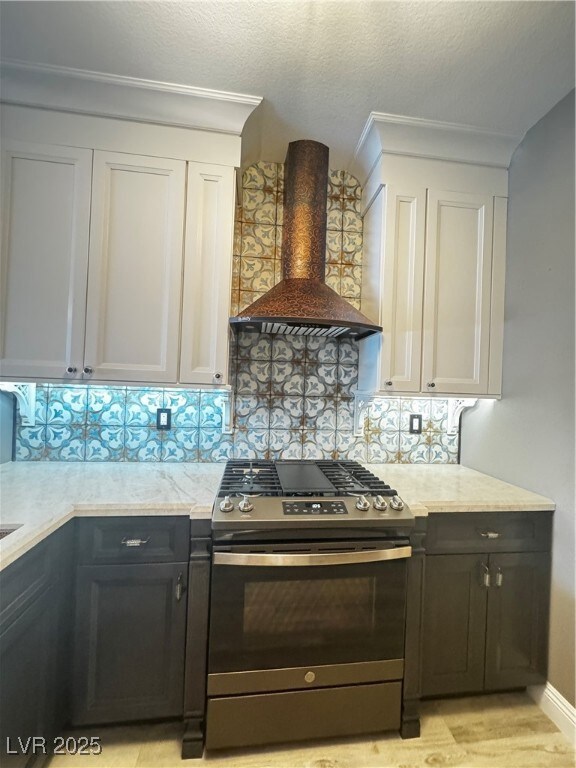Kitchen with stove, ventilation hood, tasteful bac