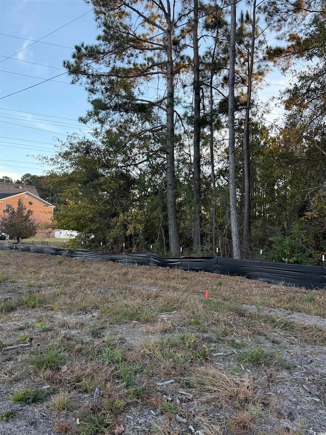 Lot 1 & 2 College Park Rd unit COLLEGE PARK, Conway, SC 29527 - photo 4