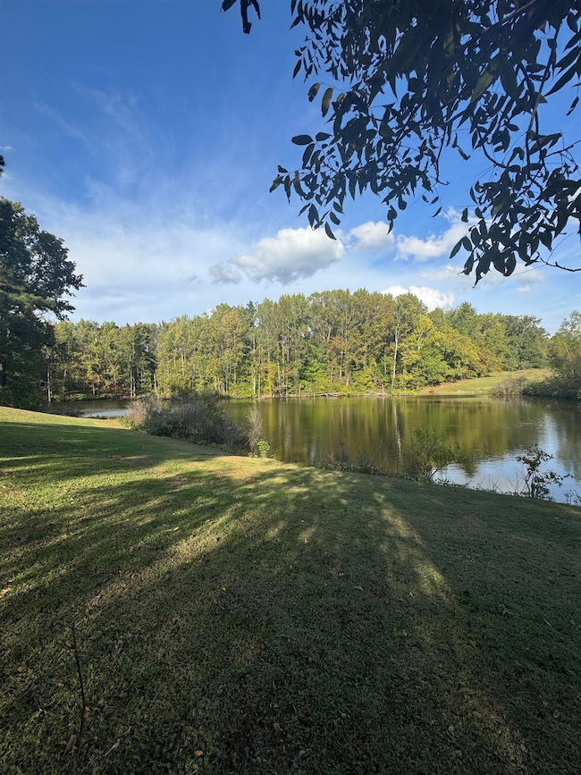 7050 Locke Rd, Millington, TN 38053 - photo 6