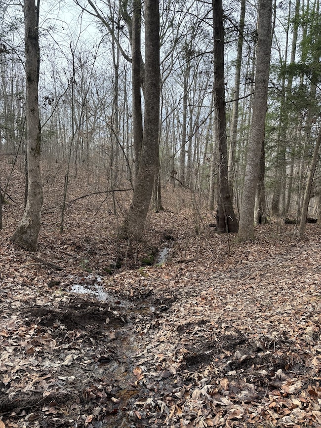 0 Browns Hollow Rd unit RTC3054618, Tracy City, TN 37387 - photo 7