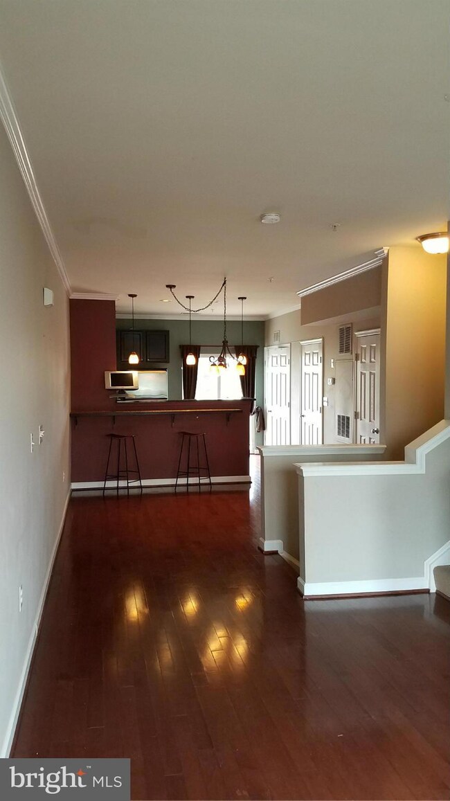 22575 Blue Elder Terrace, Ashburn, VA 20148 - photo 3