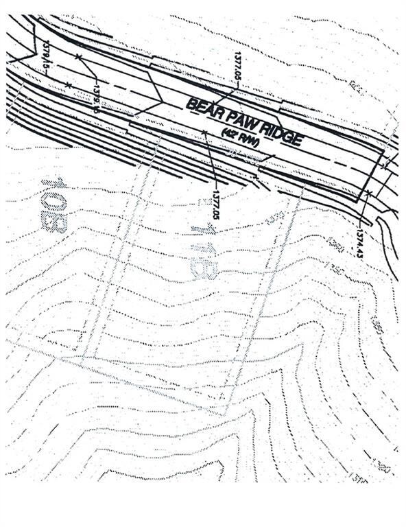 1048 Bear Paw Ridge, Dahlonega, GA 30533 - photo 4