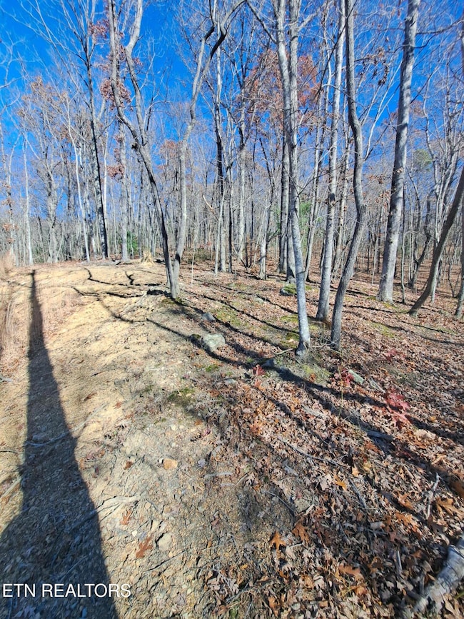 0 Evelyn Pvt Dr unit 1322105, Huntsville, TN 37756 - photo 4